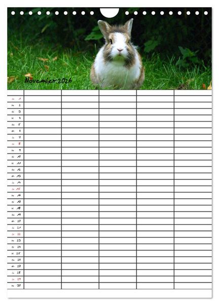 Produktbild: Meerschweinchen und Kaninchen Familienplaner (Wandkalender 2026 DIN A4 hoch), CALVENDO Monatskalender