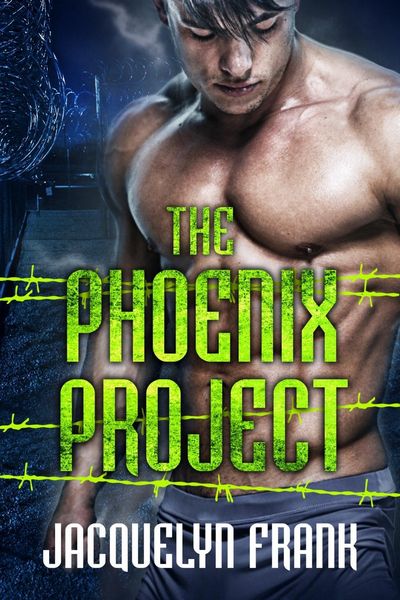Produktbild: Phoenix Project