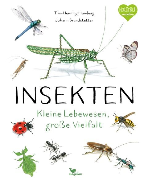 Produktbild: Insekten - Kleine Lebewesen, gro&szlig;e Vielfalt