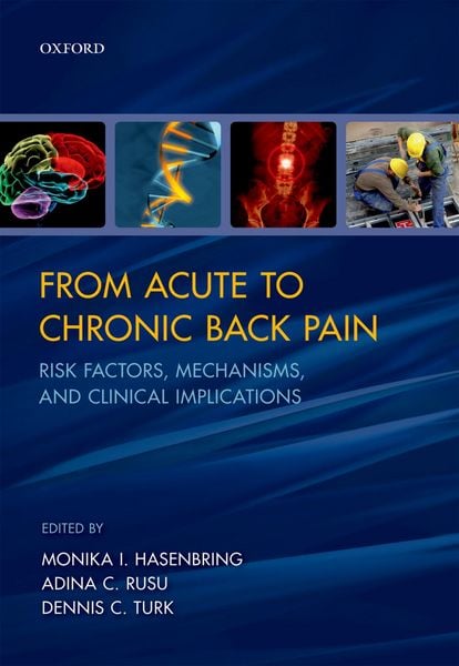 Produktbild: From Acute to Chronic Back Pain