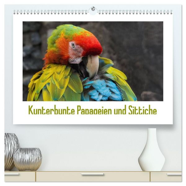 Produktbild: Kunterbunte Papageien und Sittiche (hochwertiger Premium Wandkalender 2026 DIN A2 quer), Kunstdruck in Hochglanz