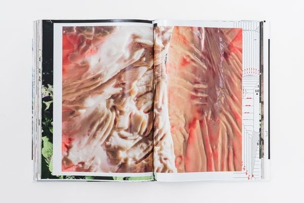 Produktbild: Sophie Hirsch