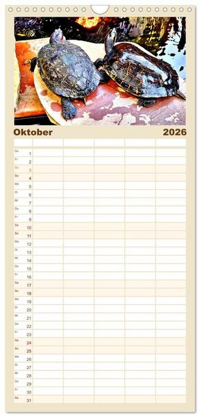 Produktbild: Familienplaner 2026 - Schmuckschildkr&ouml;ten - Schmuckst&uuml;cke der Natur mit 5 Spalten (Wandkalender, 21 x 45 cm) CALVENDO