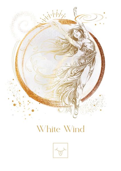 Produktbild: Maya Astro Cards: 44 astrological oracle cards with booklet