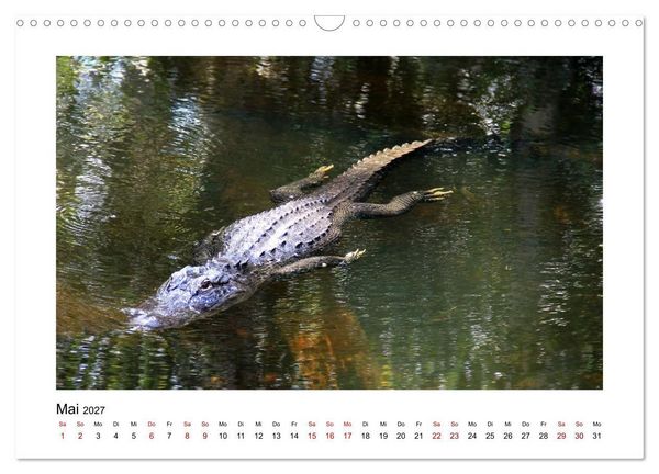 Produktbild: Florida 2027 abwechslungsreich und von der Sonne verw&ouml;hnt (Wandkalender 2027 DIN A3 quer), CALVENDO Monatskalender
