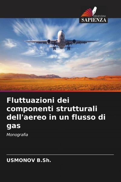 Produktbild: Fluttuazioni dei componenti strutturali dell'aereo in un flusso di gas