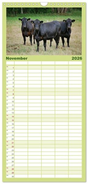 Produktbild: Familienplaner 2026 - Weiderinder im Frankenwald mit 5 Spalten (Wandkalender, 21 x 45 cm) CALVENDO