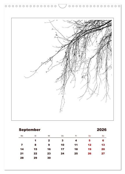 Produktbild: LignoGrafica - Muster und Strukturen der B&auml;ume (Wandkalender 2026 DIN A3 hoch), CALVENDO Monatskalender