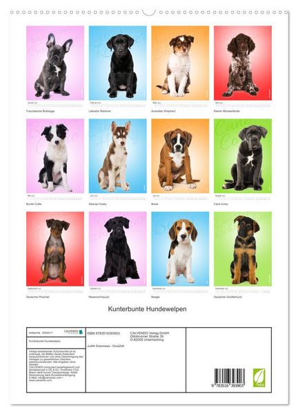 Produktbild: Kunterbunte Hundewelpen (hochwertiger Premium Wandkalender 2026 DIN A2 hoch), Kunstdruck in Hochglanz