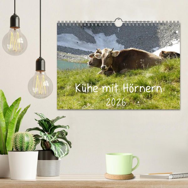 Produktbild: K&uuml;he mit H&ouml;rnern (Wandkalender 2026 DIN A4 quer), CALVENDO Monatskalender
