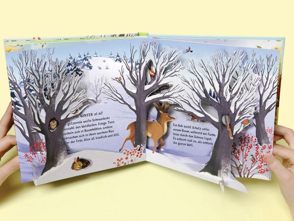 Produktbild: Mein erstes Pop-up-Buch: Die Jahreszeiten