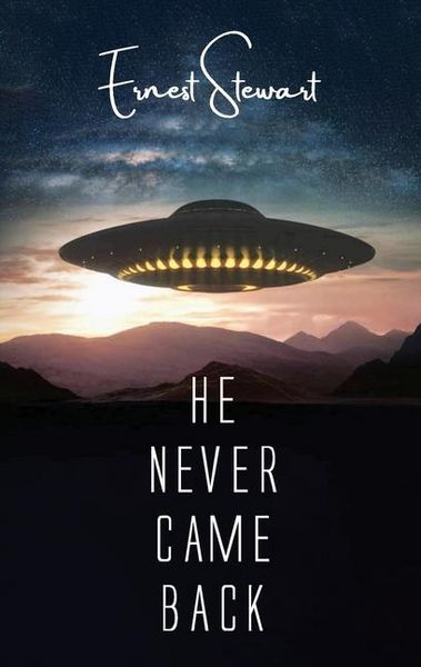 Produktbild: He Never Came Back