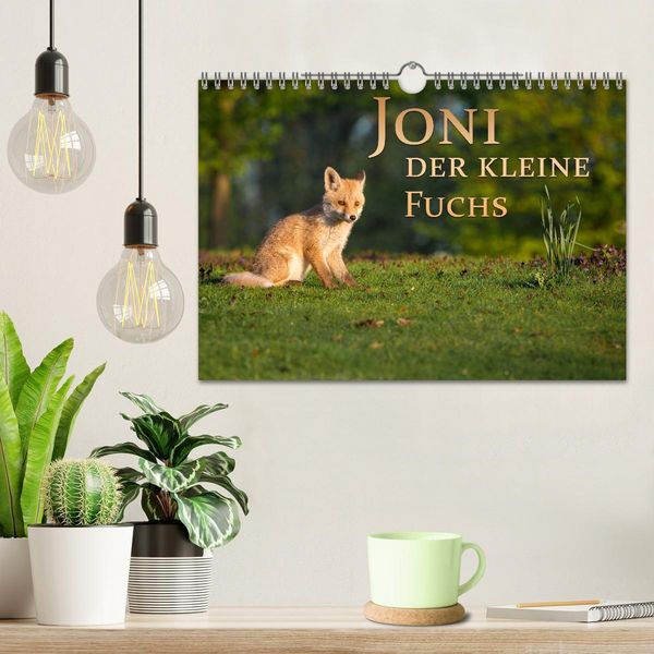 Produktbild: Joni, der kleine Fuchs (Wandkalender 2026 DIN A4 quer), CALVENDO Monatskalender