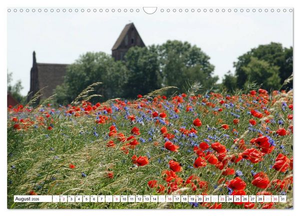 Produktbild: Vier Jahreszeiten im Land Brandenburg (Wandkalender 2026 DIN A3 quer), CALVENDO Monatskalender
