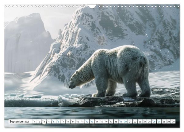 Produktbild: Wei&szlig;e W&auml;chter des Nordens: Ein Jahr im Reich der Eisb&auml;ren (Wandkalender 2026 DIN A3 quer), CALVENDO Monatskalender