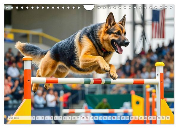 Produktbild: Sch&auml;ferhund 24/7 - Keine Pause f&uuml;r echte Helden (Wandkalender 2026 DIN A4 quer), CALVENDO Monatskalender
