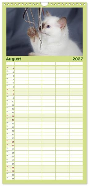 Produktbild: Familienplaner 2027 - Ragdoll Kitten mit 5 Spalten (Wandkalender, 21 x 45 cm) CALVENDO