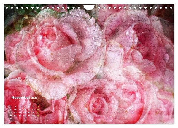Produktbild: Rosen Romantik (Wandkalender 2026 DIN A4 quer), CALVENDO Monatskalender