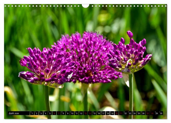 Produktbild: Fr&uuml;hling im Mostviertel (Wandkalender 2026 DIN A3 quer), CALVENDO Monatskalender