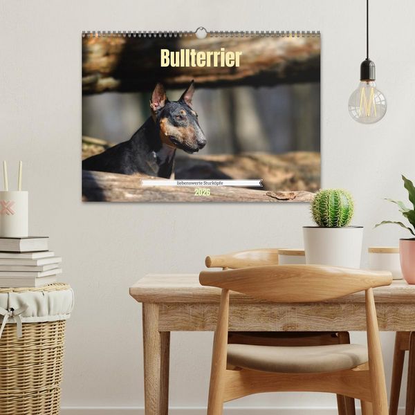 Produktbild: Bullterrier, liebenswerte Sturk&ouml;pfe (Wandkalender 2026 DIN A3 quer), CALVENDO Monatskalender