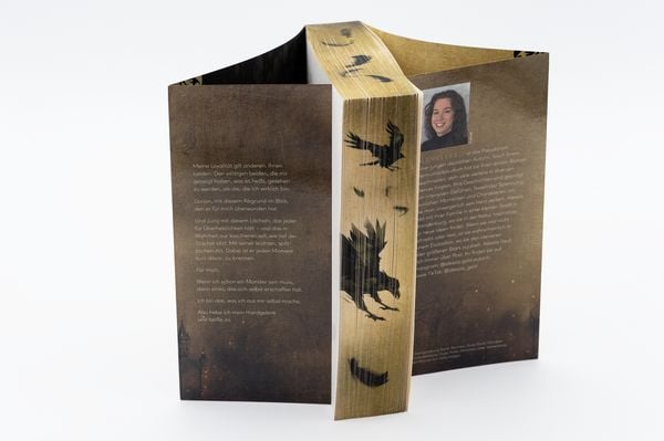 Produktbild: Until the Light destroys