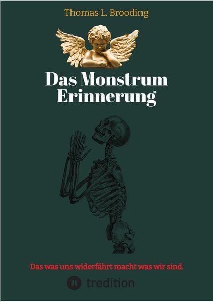 Produktbild: Das Monster Erinnerung. Manchen Schmerz m&ouml;chte man vergessen. Aber nach &uuml;ber 60 Lebensjahren l&auml;sst sich auch von Engeln der Erinnerung berichten.