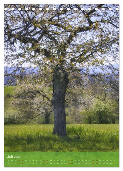 Produktbild: Klimaretter Baum (Tischkalender 2026 DIN A5 hoch), CALVENDO Monatskalender