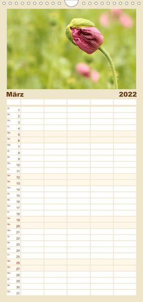 Produktbild: Familienplaner Mohnsch&ouml;nheiten (Wandkalender 2022 , 21 cm x 45 cm, hoch)
