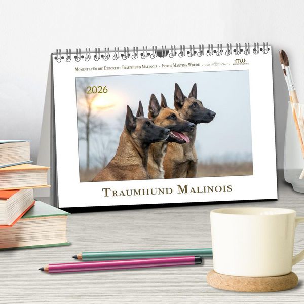 Produktbild: Traumhund Malinois (Tischkalender 2026 DIN A5 quer), CALVENDO Monatskalender