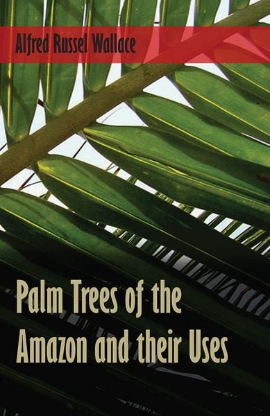 Produktbild: Palm Trees of the Amazon and their Uses