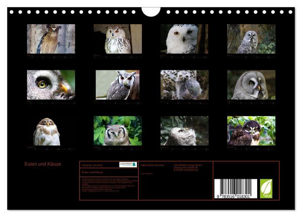 Produktbild: Eulen und K&auml;uze (Wandkalender 2026 DIN A4 quer), CALVENDO Monatskalender