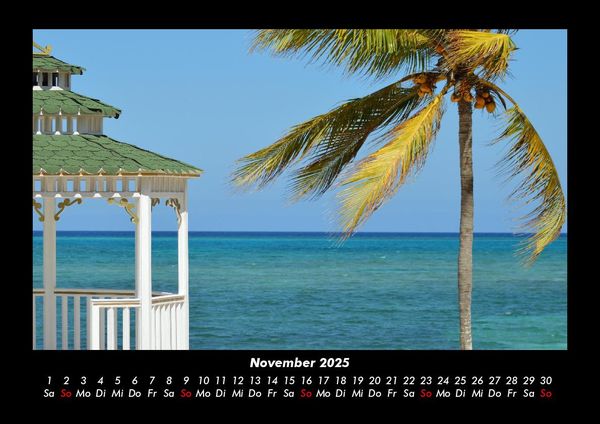 Produktbild: Palmen 2025 Fotokalender DIN A3