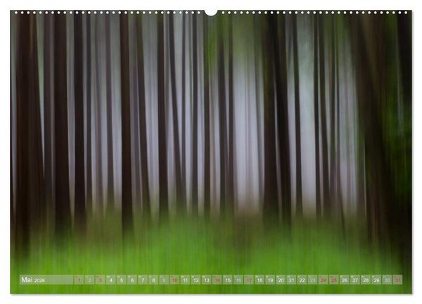Produktbild: Atelier Wald - gemalt mit Licht (hochwertiger Premium Wandkalender 2026 DIN A2 quer), Kunstdruck in Hochglanz