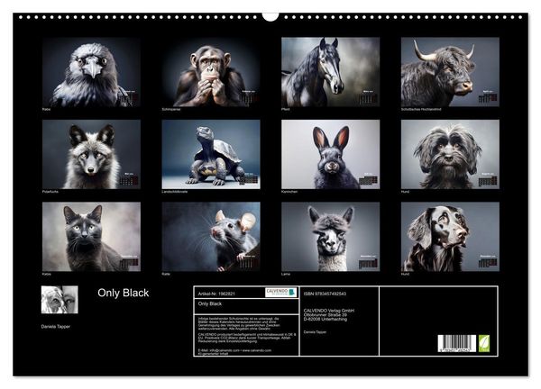 Produktbild: Only Black (Wandkalender 2026 DIN A2 quer), CALVENDO Monatskalender