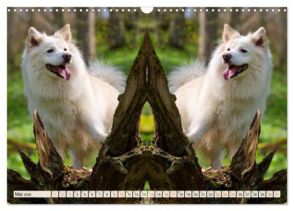Produktbild: Mit doppelter Power durch das Jahr (Wandkalender 2026 DIN A3 quer), CALVENDO Monatskalender