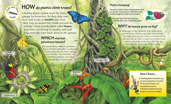 Produktbild: What? Where? Why?: Questions and Answers About Nature?