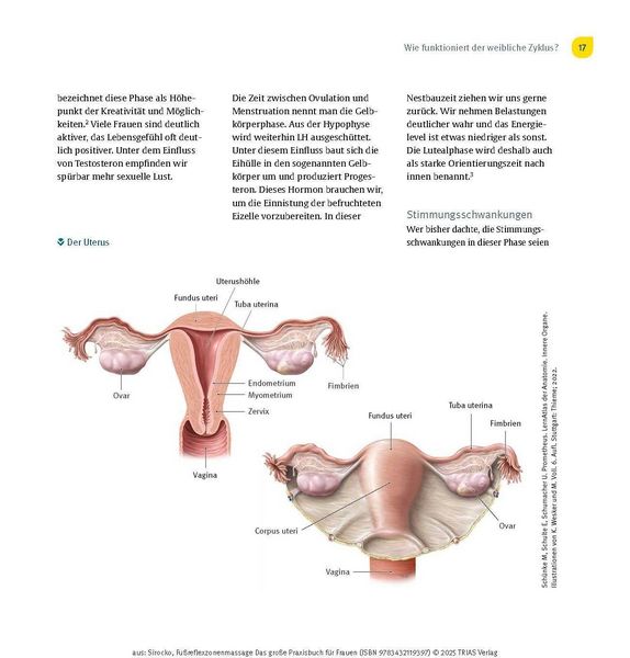 Produktbild: Fu&szlig;reflexzonenmassage - Das gro&szlig;e Praxisbuch f&uuml;r Frauen