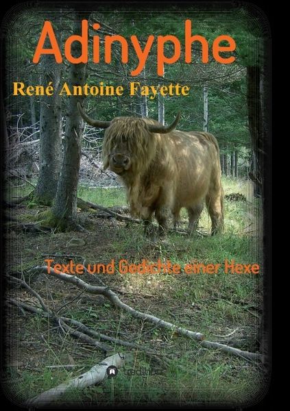Adinyphe, Taschenbuch von René Antoine Fayette, Tredition, 9783849599812