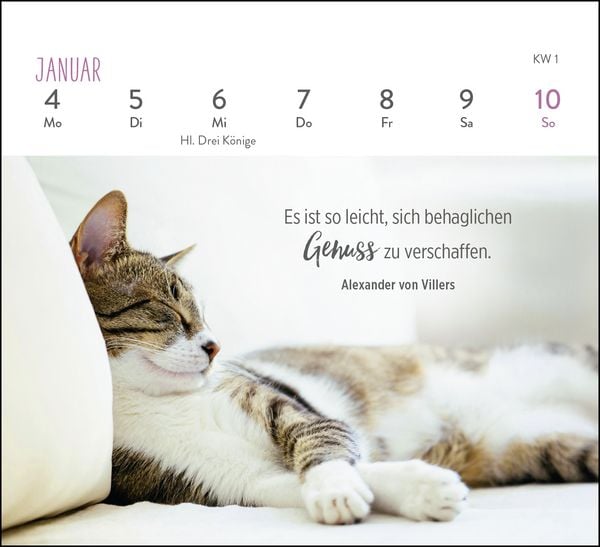 Produktbild: Mini-Wochenkalender 2027: F&uuml;r Katzenfreunde