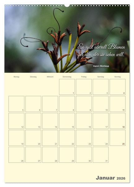 Produktbild: Gartenliebe (Wandkalender 2026 DIN A2 hoch), CALVENDO Monatskalender