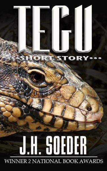 Produktbild: Tegu