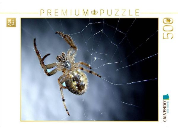 CALVENDO Puzzle Der Spinne auf den Bauch geguckt, hat sich die lecker Beute schnell verdruckt. | 500 Teile Lege-Größe 48 × 36 cm Foto-Puzzle für Erwachsene