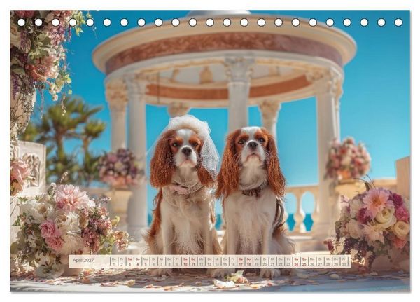 Produktbild: Cavalier King Charles Spaniel. Die lustigsten Cavalier Momente des Jahres. (Tischkalender 2027 DIN A5 quer), CALVENDO Monatskalender