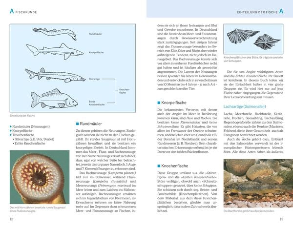Produktbild: Fischerprüfung