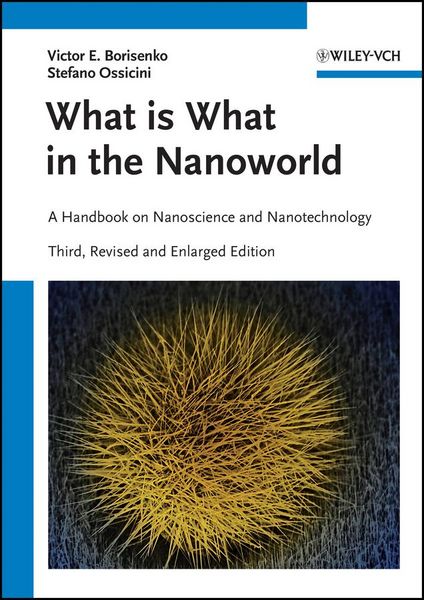 Produktbild: What is What in the Nanoworld