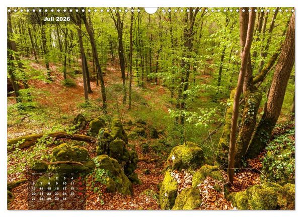 Produktbild: Zauberhafte Waldlandschaften (Wandkalender 2026 DIN A3 quer), CALVENDO Monatskalender