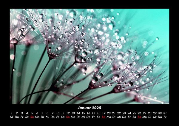 Produktbild: Blumenkalender 2025 Fotokalender DIN A3