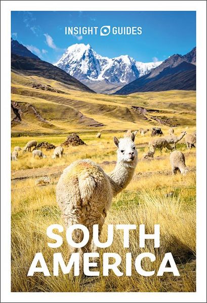 Produktbild: Insight Guides South America: Travel Guide eBook
