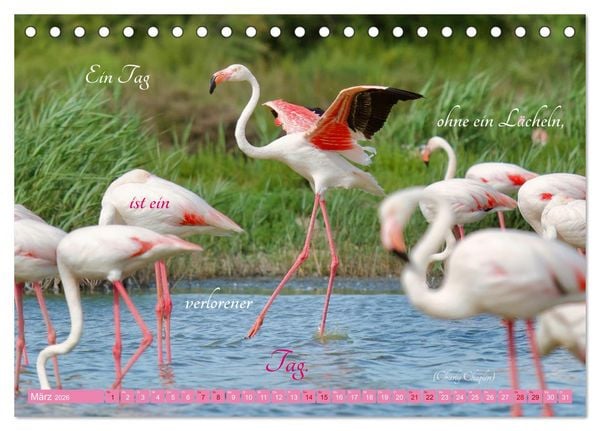 Produktbild: The Power Of Pink (Tischkalender 2026 DIN A5 quer), CALVENDO Monatskalender