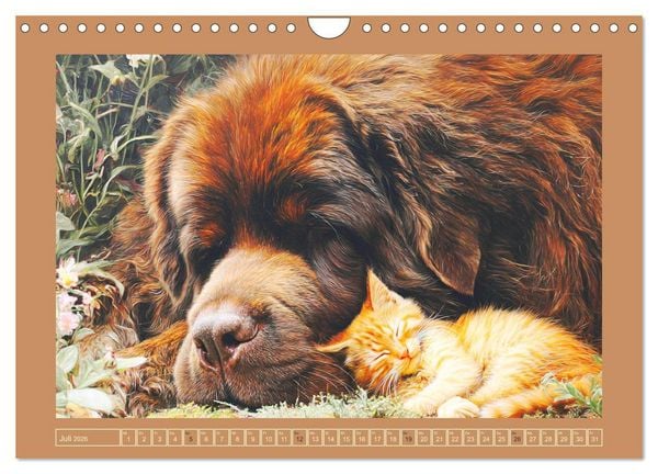 Produktbild: Neufundl&auml;nder. Imposante Riesen mit sanfter Seele (Wandkalender 2026 DIN A4 quer), CALVENDO Monatskalender